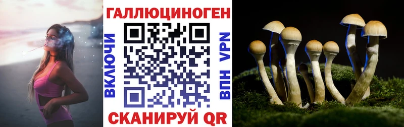 Галлюциногенные грибы мухоморы  Сортавала 